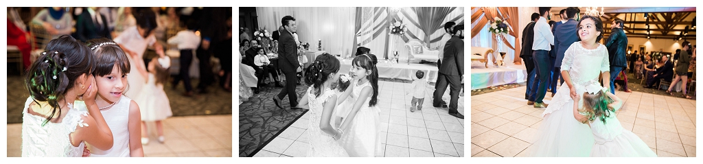 Louisville Wedding Photographer - Love The Renauds - Carla & Faizan's Wedding Celebration